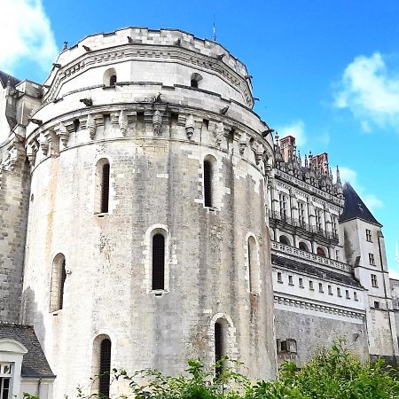 En Plein Coeur : Charmant Gite Centre Amboise Exterior foto